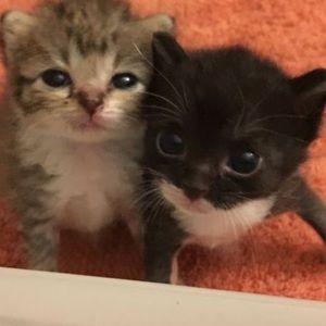 Heyy my name is onyi I’ll be your Poshmark seller